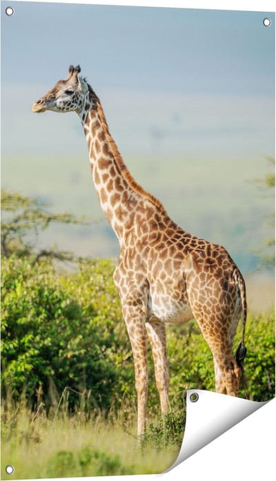 Gards Tuinposter Giraffe in het Wild tussen de Struiken - 60x90 cm - Tuindoek - Tuindecoratie - Wanddecoratie buiten - Tuinschilderij
