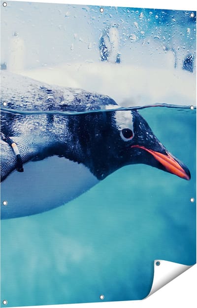 Gards Tuinposter Pingu�n Zwemt in het Water - 90x120 cm - Tuindoek - Tuindecoratie - Wanddecoratie buiten - Tuinschilderij