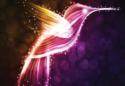 Fotobehang Bird Hummingbird Neon Colours | XL - 208cm x 146cm | 130g/m2 Vlies