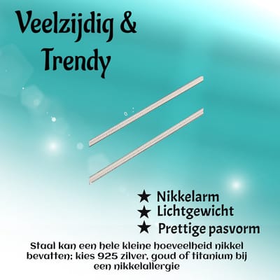 Aramat Jewels | Halskettingen | Platte Slangenketting Zilverkleurig Staal – Elegante Snake Chain RVS | 2mm / 40cm |40cm | | Staal | Volwassenen | Verkleurd niet