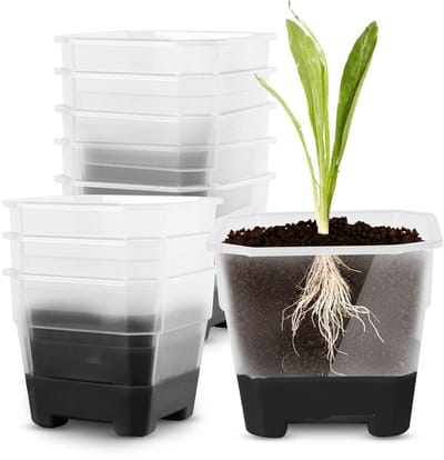 Dailygoods- Bloempotten Vierkant 20 Stuks - Plantenpotten - Siliconen/Kunststof - Herbruikbaar - Afvoergaten - 10,9 x 9,9 x 8,9 cm - Plantenbakken