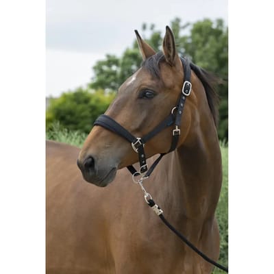 Halster en touwset voor grote paarden Norton