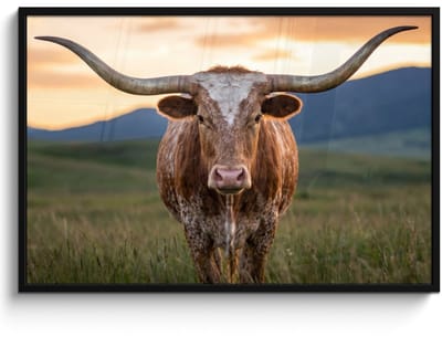 Poster in lijst - Fotolijst 120x80 cm - Posters - Longhorn - Landschap - Zonsondergang - Posterlijst zwart - Decoratie - Wanddecoratie woonkamer - Muurdecoratie slaapkamer