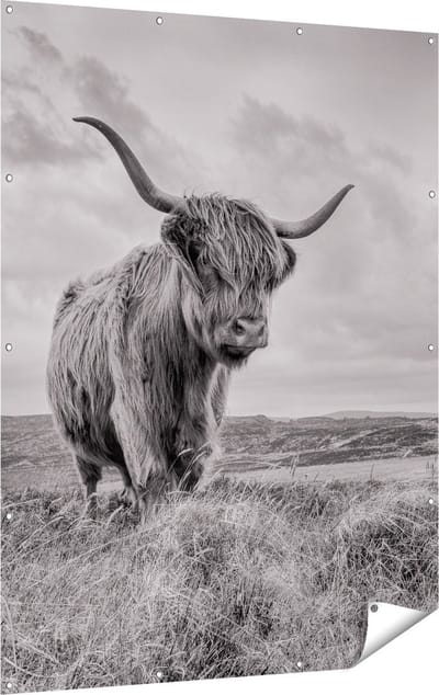 Gards Tuinposter Schotse Hooglander in de Wei - Zwart Wit - 120x160 cm - Tuindoek - Tuindecoratie - Wanddecoratie buiten - Tuinschilderij