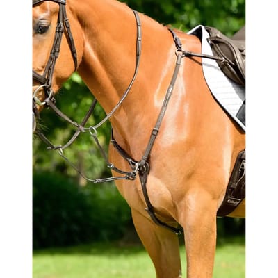 3-punts gewatteerde plastron Collegiate Comfitec Opulux