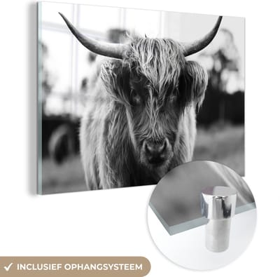 MuchoWow® Glasschilderij 120x80 cm - Schilderij acrylglas - Schotse Hooglander - Koe - Gras - Dieren - Natuur - Foto op glas - Schilderijen