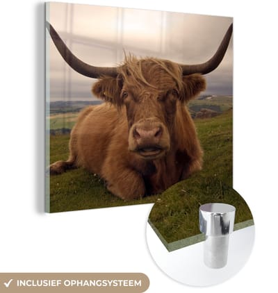 MuchoWow® Glasschilderij 50x50 cm - Schilderij acrylglas - Schotse Hooglander - Dieren - Berg - Foto op glas - Schilderijen