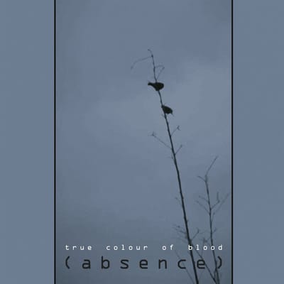 True Color Of Blood - (Absence) (CD)