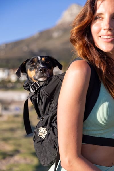 Homies dogwear- Hondenrugzak - Hondentas - Hondendraagzak - Zwart - Maat S