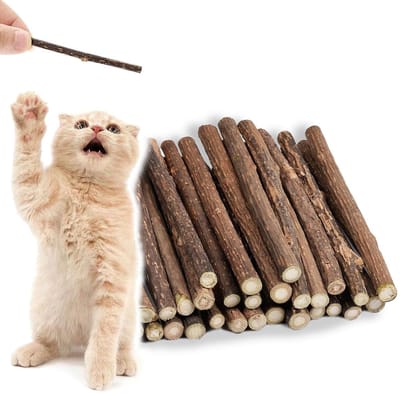 Dailygoods- Kattensticks 30 Stuks - Natuurlijke Kauwsticks - Tandverzorging - Mondgezondheid - Houten Sticks - Verfrissing Adem