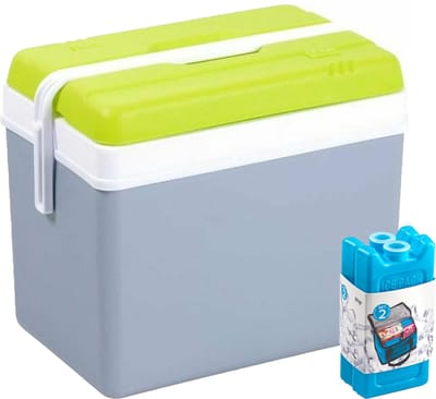 Koelbox met koelelementen - 35 liter - kunststof - grijs - 48 x 30 x 40 cm