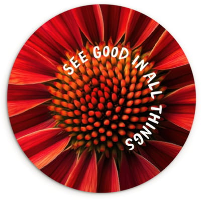 WallCircle® Wandcirkel 120x120 cm - Muurcirkel Close up - Bloem - Quote - Rood - Muurdecoratie woonkamer - Wanddecoratie slaapkamer - Kamer decoratie accessoires - Ronde schilderijen XXL