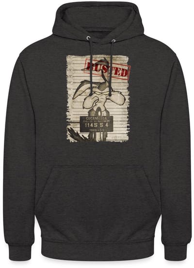 Looney Tunes Wile E. Coyote Busted Hoodie Unisex