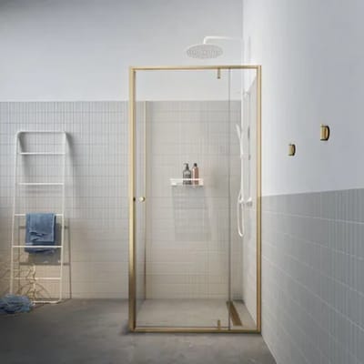 Sealskin - Douchedeur + Zijwand Contour 100 X 200cm - Goud Profiel - 6 Mm Helder Glas