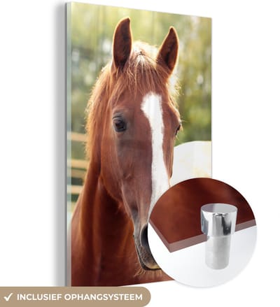 MuchoWow® Glasschilderij 40x60 cm - Schilderij acrylglas - Paard - Dier - Contour - Foto op glas - Schilderijen