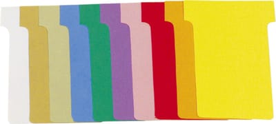 Exacompta Doos met 10 etuis van 100 T-kaarten n°2 - L60 x H85 x l48 x h 15 mm - Geassorteerd - 57745E