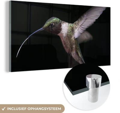 MuchoWow® Glasschilderij 40x20 cm - Schilderij acrylglas - Kolibrie - Vogel - Veren - Foto op glas - Schilderijen