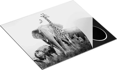 Chefcare Inductie Beschermer Afrikaanse Dieren op het Gras - Afrika - Zwart Wit - 60x50 cm - Afdekplaat Inductie - Kookplaat Beschermer - Inductie Mat