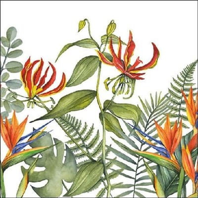 Lunch Servetten Tropical Flowers White - Ambiente - 33x33 cm