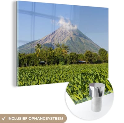 ® Glasschilderij 180x120 cm - Schilderij acrylglas - Tabaksveld voor de vulkaan Concepcion op het eiland Ometepe - Foto op glas - Muurdecoratie woonkamer - Wanddecoratie slaapkamer - Schilderijen