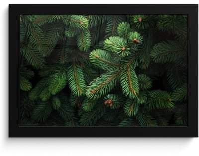 Poster in lijst - Fotolijst 30x20 cm - Posters - Sparrentakken - Knoppen - Naalden - Groen - Posterlijst zwart - Decoratie - Wanddecoratie woonkamer - Muurdecoratie slaapkamer