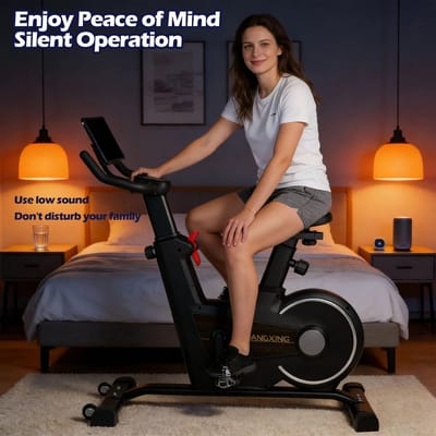 Wentink Mo hometrainer - Indoor hometrainer - max. belasting 160 kg - aerobische training.
