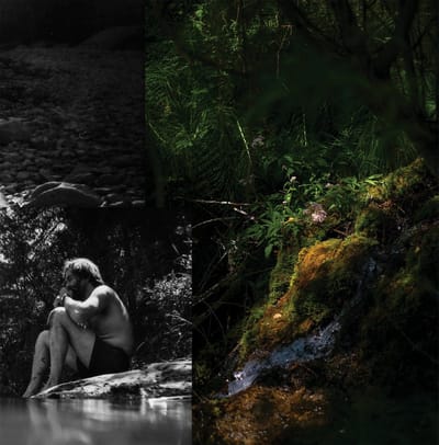 Myrddin & Imre - Zwaluwe (CD)