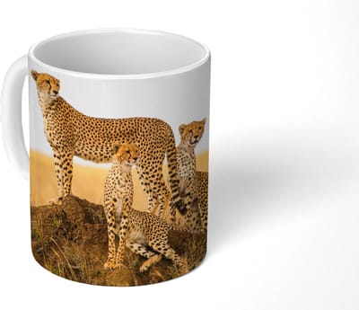 Mok - Koffiemok - Cheetah - Gras - Natuur - Savanne - Mokken - 350 ML - Beker - Koffiemokken - Theemok