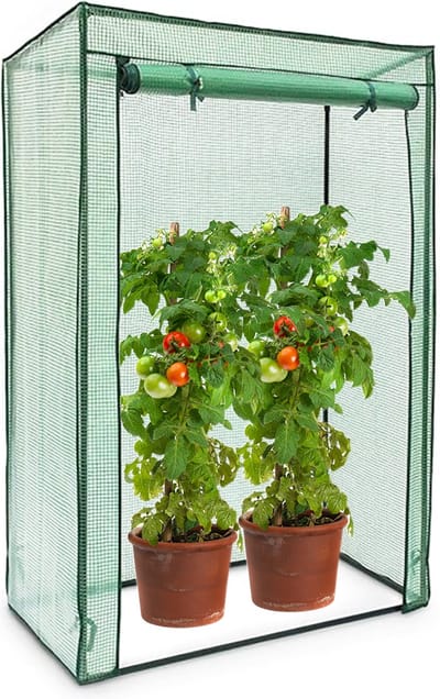 YUGN Tomatenkas 100 CM - Foliekas met Oprolbare Deur - Tomatenserre - Groene Kweekkas