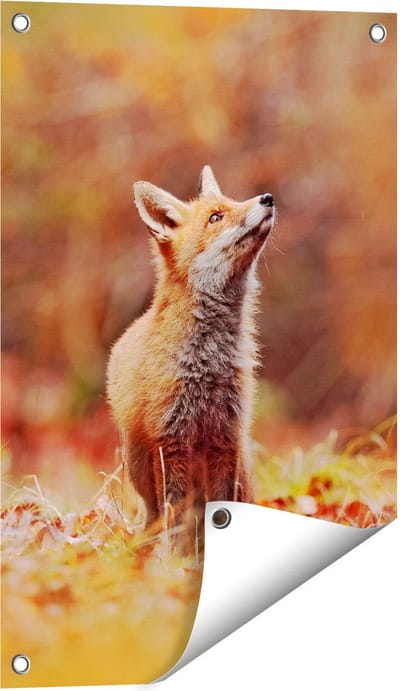 Gards Tuinposter Vos in het Bos tussen de Bladeren - 40x60 cm - Tuindoek - Tuindecoratie - Wanddecoratie buiten - Tuinschilderij
