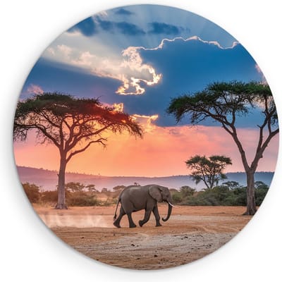 Saammp Muurcirkel Hout - olifant in de serangeti - Afrika - Dieren - Ø 90 - Wandcirkel - Wanddecoratie Cirkel - muurdecoratie Woonkamer - Slaapkamer decoratie - Rond Schilderij