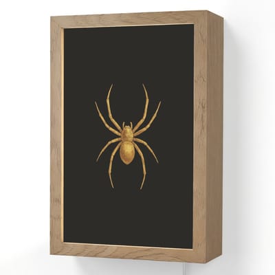 Wandlamp 20x30 cm - Oplaadbaar - Spin - Goud - Minimalistisch - Poten - Wandlampen binnen woonkamer - Slaapkamer lamp met kabel - Decoratieve nachtlamp - Vloerlamp snoer