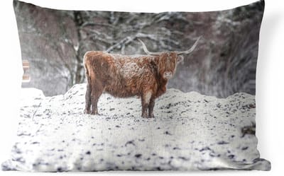 Buitenkussens - Tuin - Schotse hooglander in besneeuwd bos - 60x40 cm