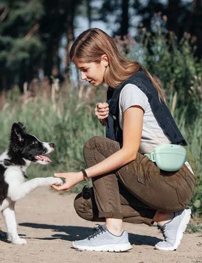 Honden traktatie tas met trainingsclicker, sterke magnetische sluiting en 400ml silicone pouch voor training en wandelen