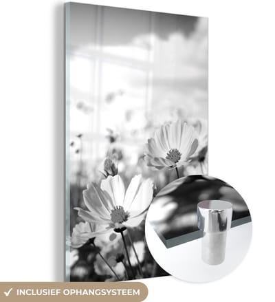 MuchoWow® Glasschilderij 120x180 cm - Schilderij acrylglas - Bloemen - Wei - Paars - Gras - Wit - Wolken - Blauw - Foto op glas - Schilderijen