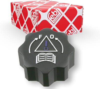Radiator Cap voor Koelvloeistof Expansievat - Grijs - Originele Kwaliteit