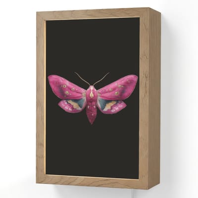Wandlamp 20x30 cm - Oplaadbaar - Vlinder - Roze - Nachtvlinder - Wandlampen binnen woonkamer - Slaapkamer lamp met kabel - Decoratieve nachtlamp - Vloerlamp snoer