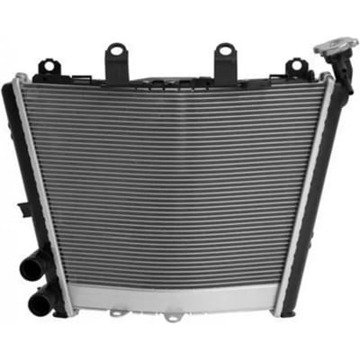 Motorradiateur Brazoline Bmw S 1000 R (2021-2022), S 1000 Rr (2019-2022)