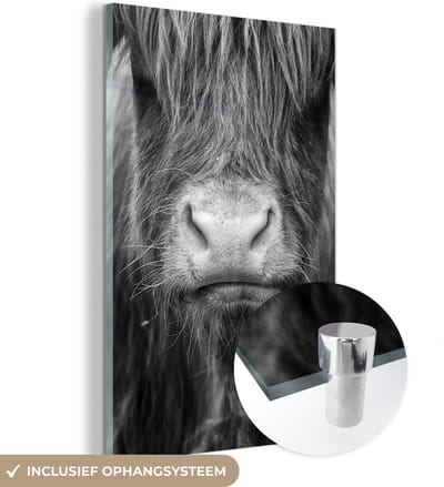 MuchoWow® Glasschilderij 120x180 cm - Schilderij acrylglas - Schotse Hooglander - Haar - Dieren - Foto op glas - Schilderijen