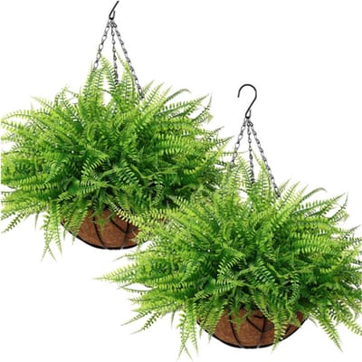 Hangende Kunstplant Met Mand - 2 Stuks Kunst Hangplanten - Net Echt Varen - Kunststof Balkonplanten - Kunstplanten Buiten Weerbestendig Decoratie
