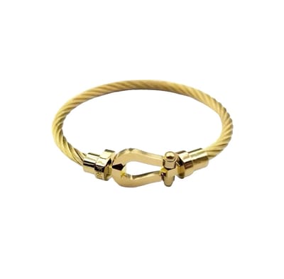 Armband -Draad Goud en Goud- Elegante Armband - Luxe Armband - RVS