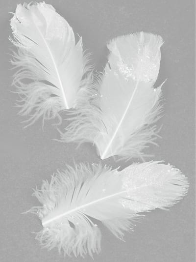 HOBI - 20 witte glitterveren 9 cm fonkelend