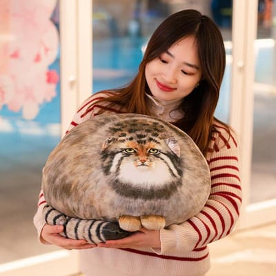 Schattig Pallas Kat Pluche Lichaamskussen - Perfect Voor Kawaii Sierkussens Voor Huisdierenliefhebbers black