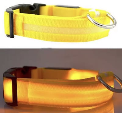 CHPN - LED-Halsband - Lichtgevende Honden halsband - Halsband - Geel - S - 22-40 cm - Dierenband - Collar - Gele halsband - Hippe halsband voor de hond - Werkt op batterijen