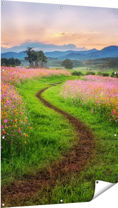 Gards Tuinposter Kosmos Bloemenveld met een Pad - Bloemen - 100x150 cm - Tuindoek - Tuindecoratie - Wanddecoratie buiten - Tuinschilderij
