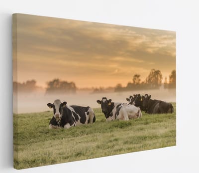 Saammp Canvas Schilderij - Groep koeien in de mist - Nederland - Dieren - 45x30 - Foto op canvas - Wanddecoratie - Muurdecoratie Woonkamer - Slaapkamer decoratie - Canvas Print