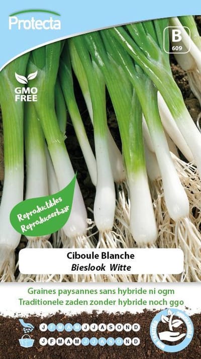 Protecta Groente zaden: Bieslook Witte