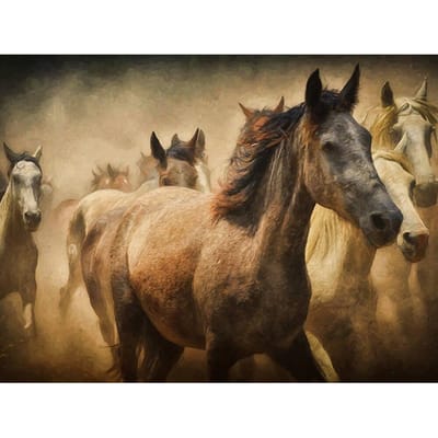 Diamant mosaïque cheval strass point de croix complet rond diamant peinture cheval arrivées décor à la maison 20X30CM black