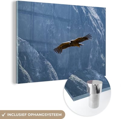 ® Glasschilderij 180x120 cm - Schilderij acrylglas - Prachtige Condor vliegend voor het berglandschap van Arequipa - Foto op glas - Muurdecoratie woonkamer - Wanddecoratie slaapkamer - Schilderijen