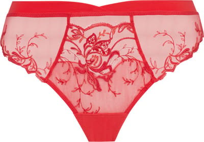 hibiscus beaute-lise Charmel-acc772-rio-38